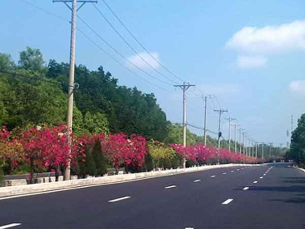 Giá đất Cần Giờ tăng hơn 200% sau các cơn sốt đất