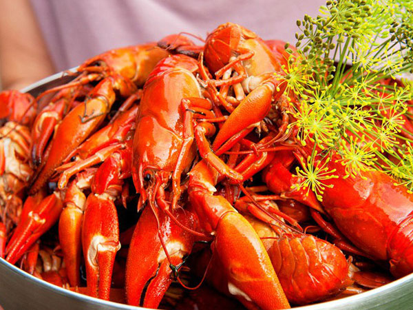 'Ăn tôm hùm đất cũng giống như ăn ốc bươu vàng cần phải được kiểm định an toàn trước'
