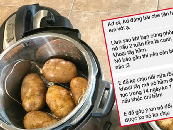 Hoảng sợ khi thấy bạn cùng phòng ăn khoai tây hầm liên tục 14 ngày, nam sinh cầu cứu cư dân mạng hiến kế