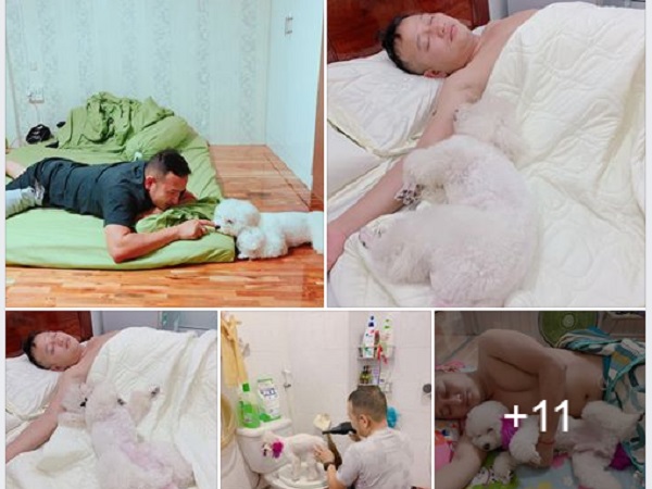 Góc nuôi ong tay áo: Mang theo cún cưng về nhà chồng, vợ trẻ cay đắng phát hiện bị 'cướp' chồng lúc nào chẳng hay