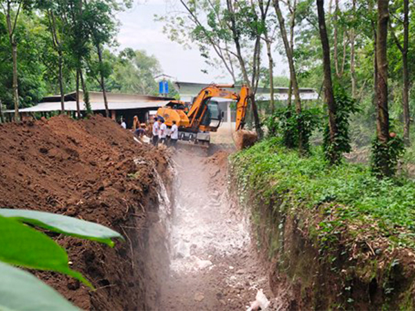 Dịch tả châu Phi lây lan ở ba tỉnh Đông Nam Bộ