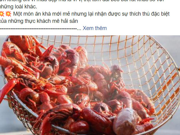 Bất chấp lệnh cấm, tôm hùm đất vẫn được rao bán tràn lan trên mạng