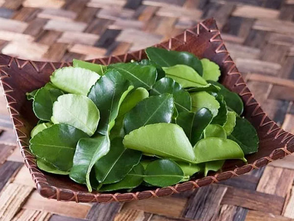Lá chanh ở Việt Nam chỉ để ăn với thịt gà luộc, sang Châu Âu bán 6,3 triệu đồng/kg