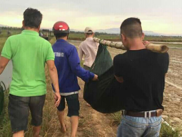 Quảng Trị: Đi làm ruộng thuê kiếm tiền nuôi con, người phụ nữ bị sét đánh tử vong
