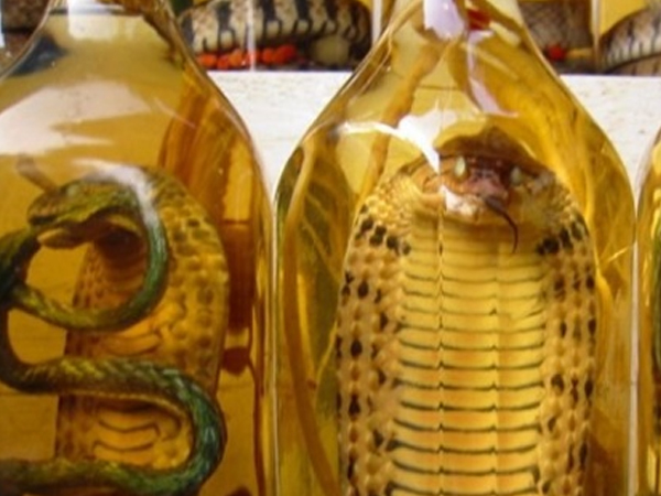 Rượu 'ông uống, bà khen'