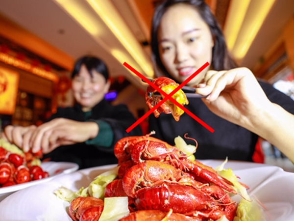 Ám ảnh 'đại dịch' ốc bươu vàng, cư dân mạng kêu gọi tẩy chay tôm hùm đất