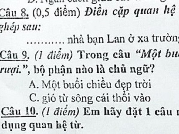 Chỉ một bài tập Tiếng Việt bắt tìm chủ ngữ của câu mà khiến dân mạng chia phe cãi nhau kịch liệt