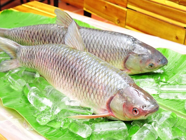 Thực phẩm cực độc khi nấu cùng tỏi