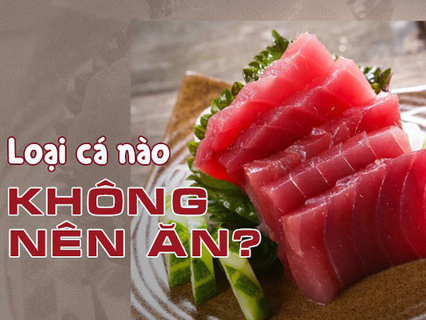 Ăn cá rất tốt, nhưng 4 loại cá này không nên ăn tùy tiện, không có lợi cho sức khỏe