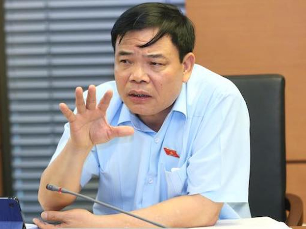 Dịch tả châu Phi lan ra 48 tỉnh thành, hơn 2 triệu con lợn bị tiêu huỷ