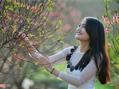 Giới trẻ Hà thành du xuân tại vườn đào Nhật Tân mới nở