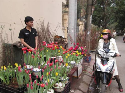 Sợ đắt đỏ, chị em lo đặt hoa tết sớm