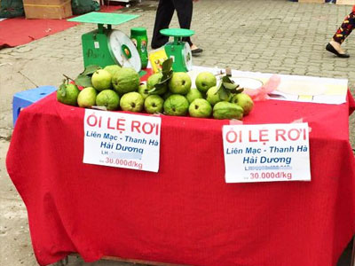 Mượn mác "Lệ Rơi", ổi Hải Dương bán chạy ở Hà Nội