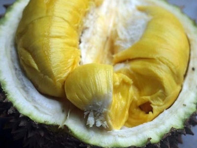 Ăn sầu riêng sau khi uống rượu: Cảnh báo ngộ độc
