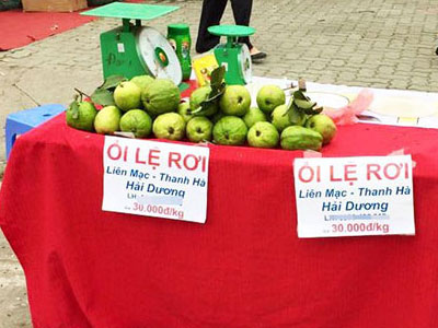 Lệ Rơi không biết mình bị mượn danh để bán ổi