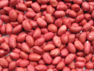 Phát hiện gần 700 tấn lạc nhập khẩu có côn trùng nguy hại