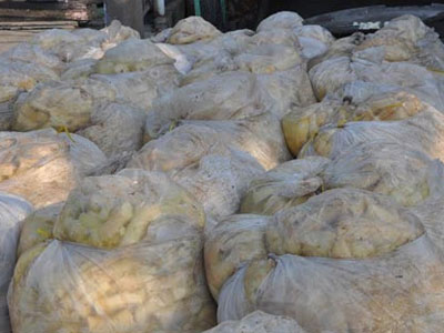 Phát hiện trên 43 tấn măng ngâm hóa chất độc