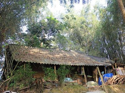 Ảnh bìa bài viết 279124