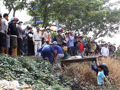 Trèo lên cây xem thi thể phân huỷ trên đại lộ ở Sài Gòn