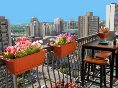 Phong thủy: Không trồng quá nhiều cây ở ban công chung cư
