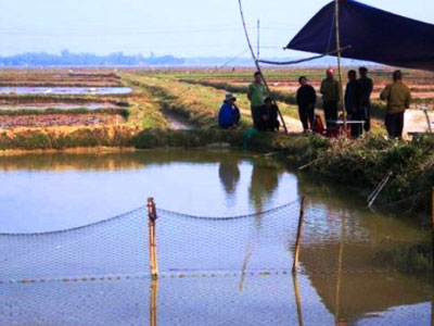 Rơi xuống hồ cá, hai bé 3 tuổi đuối nước thương tâm