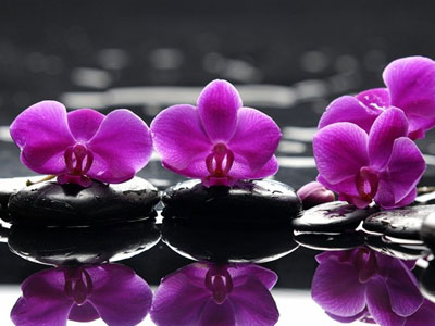 Thứ ba của bạn (27/1)