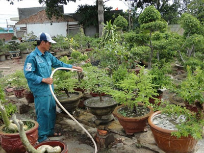 Sơn nhà cửa, chăm chó mèo vớ bẫm cuối năm