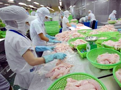 Việt Nam phản đối Mỹ áp thuế chống bán phá giá cá tra