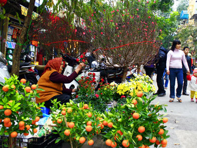Miền Bắc đón Tết Nguyên đán trong mưa rét