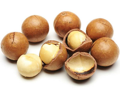 Chính phủ chỉ đạo thí điểm trồng mắc-ca ở Tây Bắc
