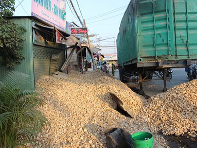 Lật xe container, hàng chục tấn khoai mì đổ tràn lấp cửa nhà dân