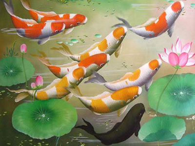Nuôi hắc ngư gánh hạn cho cả nhà