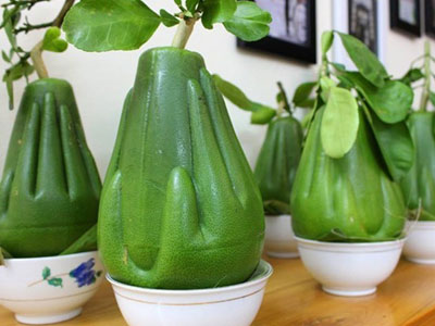 Hoa quả lạ chơi Tết: Lo ngại về chất lượng