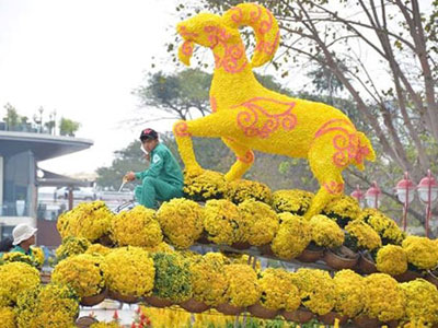 Ảnh: Đường hoa Đà Nẵng chính thức khai hội đón khách