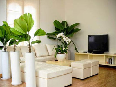 Chú ý nhà cửa ngày Tết để hóa sát, chiêu tài
