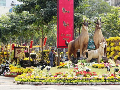 Ngắm đường hoa Tết đẹp lung linh trước giờ khai mạc