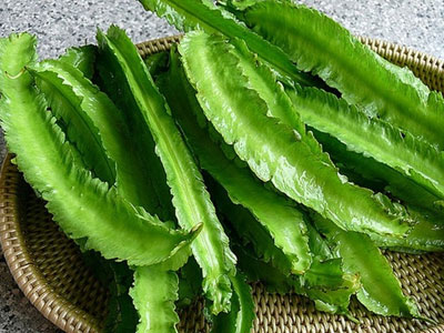 Chữa đau bao tử bằng đậu rồng
