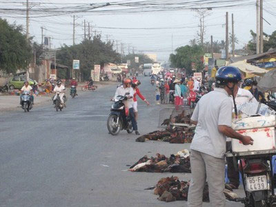 Bất chấp lệnh cấm, gà mùng 3 vẫn tràn ra phố
