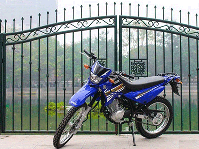 4 mẫu cào cào cỡ nhỏ đang bán tại Việt Nam