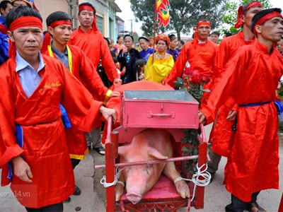 Hôm nay: Chính thức "khai đao" chém lợn ở Bắc Ninh