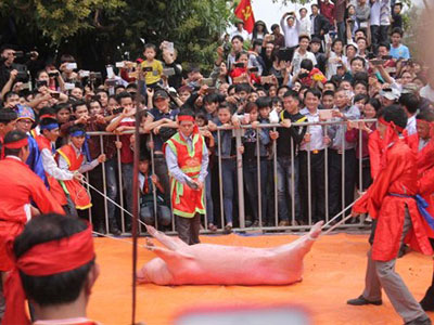 Lễ hội chém lợn Bắc Ninh: Máu tươi đẫm sân đình