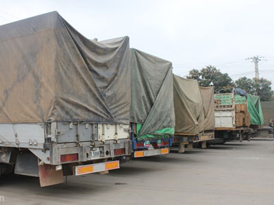 11 xe chở gỗ quá tải lọt qua bốn huyện vào Việt Nam