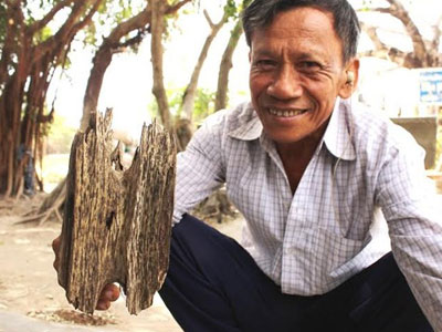 Bạch kỳ nam: 50 tỷ đồng/kg