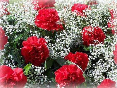 Mùng 8 tháng 3, cấm tặng chị em những loại hoa này
