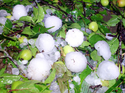 Xuất hiện mưa đá ở Lào Cai