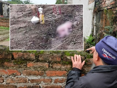 Hà Nội: Rúng động nữ sinh vứt con mới sinh từ tầng 3 xuống vườn nhà dân