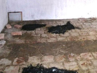 Đập búa vào đầu vợ rồi chôn xác giữa nhà