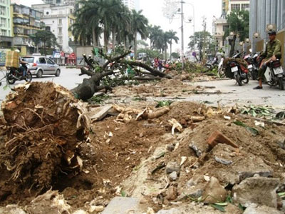 "Con đường đẹp nhất Việt Nam" tan hoang sau khi chặt cây xanh