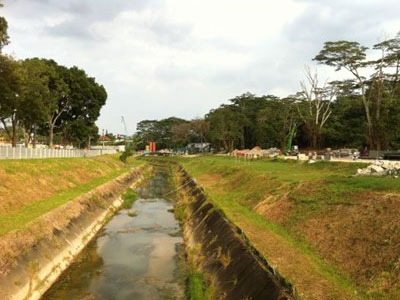 Singapore: Chặt 20 cây để đào kênh, chính quyền bị chất vấn