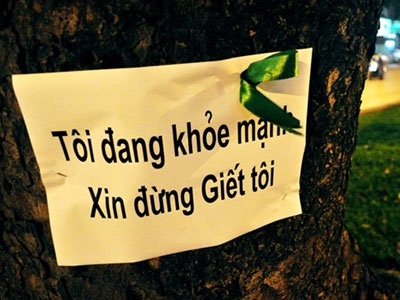 "Tôi đang khỏe mạnh xin đừng giết tôi"